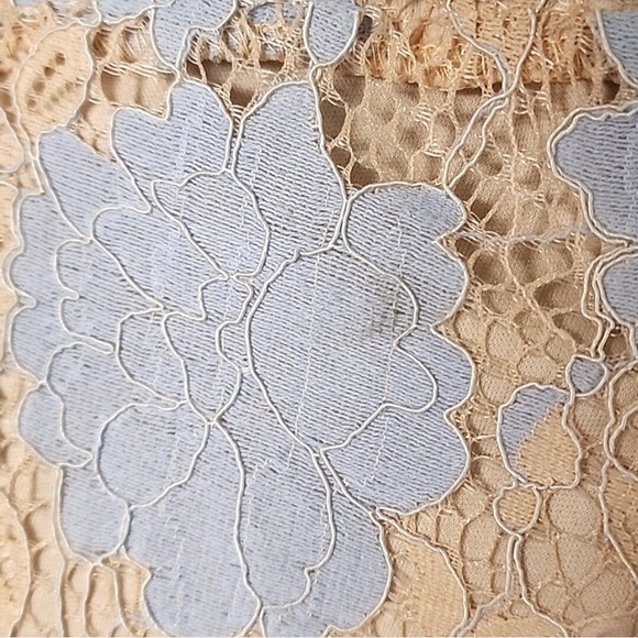❎💲SOLD 💲❎ NWT Nude & Periwinkle lined Floral Lace Sleeveless Blouse sz L - Picture 7 of 16